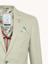 A Fish Named Fred Blazer Structure