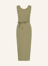 Max Mara Globale Dress