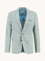 A Fish Named Fred Blazer Travel