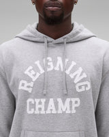 Reigning Champ Migweight Terry Arch Logo Hoodie in Heather Grey