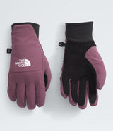 North Face Shelbe Raschel Etip Glove