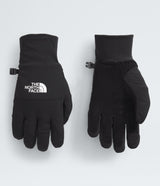 North Face Shelbe Raschel Etip Glove