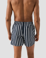 Eton Striped Swim Shorts