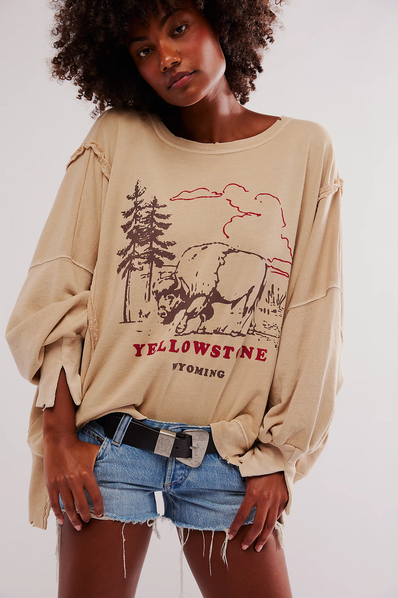 Free People Graphic Camden Pullover