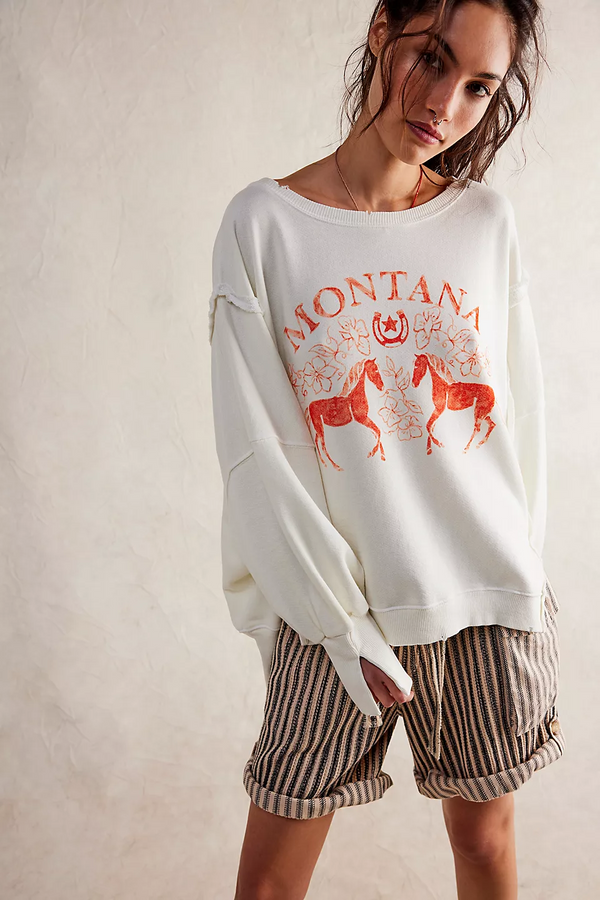 Free People Graphic Camden Pullover